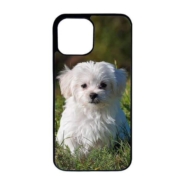 Maltese Dog iPhone 15 Matkapuhelimen Kansi