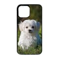 Miniatyrbillede 1 af 2: Maltese Dog iPhone 13 Mini Mobiltelefon Dække