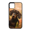 Miniatyrbillede 1 af 2: Dachshund Dog iPhone 11 Pro Mobiltelefon Dække