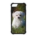 Miniatyrbillede 1 af 2: Maltese dog iPhone SE 2020 Mobiltelefon Dække