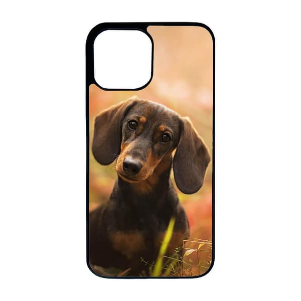 Dachshund Dog iPhone 13 Pro Mobiltelefon Dække