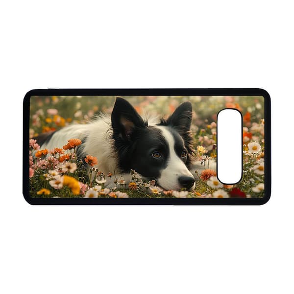 Koiran Bordercollie Samsung Galaxy S10+ Matkapuhelimen Kansi