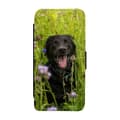 Miniatyrbillede 1 af 3: Black Labrador Dog Etui Til Samsung Galaxy A36