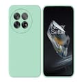Pikkukuva 1 / 2: Liquid suojakuori OnePlus 13R - Minttu
