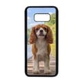 Miniatyrbillede 1 af 2: Hund Cavalier King Charles Spaniel Samsung Galaxy S8 Mobiltelefon Dække