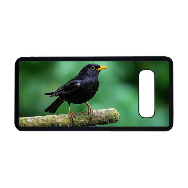 Lintu Mustarastas Samsung Galaxy S10 Kuori
