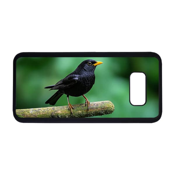 Fugl Solsorte Samsung Galaxy S8 Skal