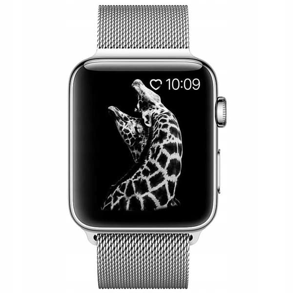 Värikotelo Xiaomi Sc Aw 38/40/41 Silver