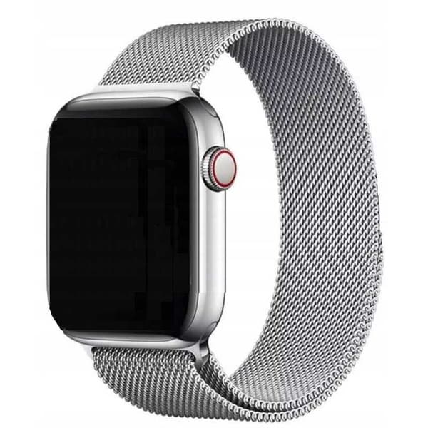 Värikotelo Xiaomi Sc Aw 38/40/41 Silver