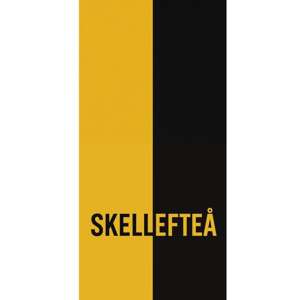Apple iPhone 13 Pro Lommeboketui Skellefteå – Hockey
