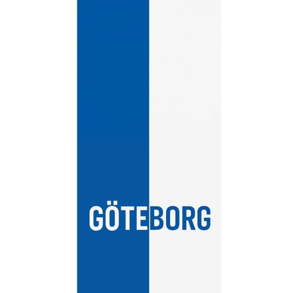 Apple iPhone 13 Pro Lommeboketui Göteborg - fotball