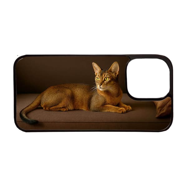 Abessinier Katt iPhone 11 Pro Mobiltelefon Skal