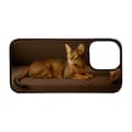 Miniatyrbillede 1 af 2: Abessinier Kat iPhone 12 / iPhone 12 Pro Mobiltelefon Dække