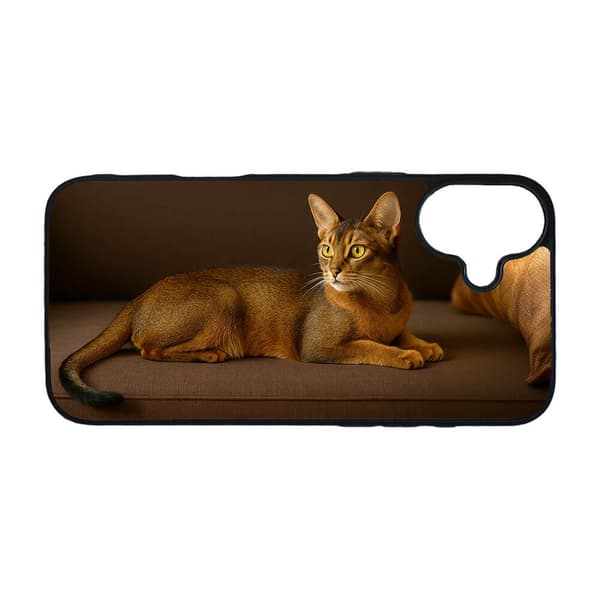 Abessinian kissa iPhone 16 Plus Matkapuhelimen Kansi
