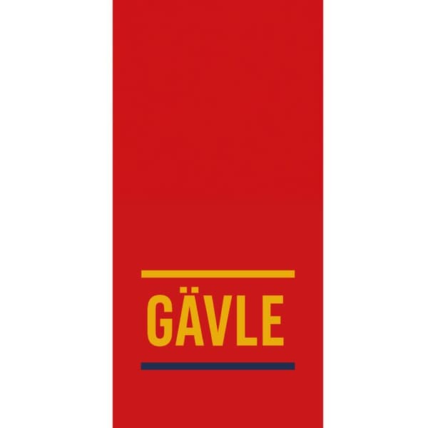 Apple iPhone 13 Pro Tegnebogsetui Gävle - Ishockey