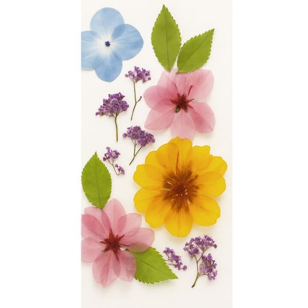 Apple iPhone 13 Pro Tegnebogsetui Pressede blomster