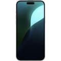 Pikkukuva 3 / 3: Apple iPhone 16 Plus Läpinäkyvä kuori Kesäkukat
