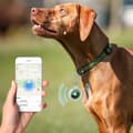 Miniatyrbild 5 av 6: Tech-Protect Apple AirTag 4-PACK Hållare Icon Transparent