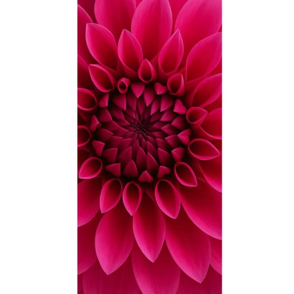 Apple iPhone 13 Pro Lompakkokotelo Rosecore