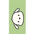Miniatyrbilde 4 av 4: Apple iPhone 13 Pro Lommeboketui Snoopy Flip
