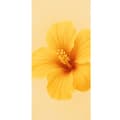 Miniatyrbilde 4 av 4: Apple iPhone 13 Pro Lommeboketui Lemon Zing
