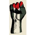 Miniatyrbilde 4 av 4: Apple iPhone 13 Pro Lommeboketui Hand knyttet i Palestinas farger - kraftig symbol for frihetsbevegelsen