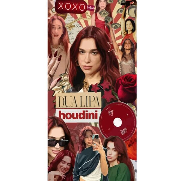 Apple iPhone 13 Pro Lommeboketui Dua Lipa – Fashion & Style Edit