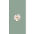 Miniatyrbillede 4 af 4: Apple iPhone 13 Pro Tegnebogsetui Grøn Minimalblomst - stilfuld blomst på grøn baggrund