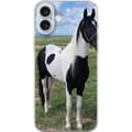Pikkukuva 1 / 3: Apple iPhone 16 Plus Läpinäkyvä kuori Hevosen Taika - tyylikäs hevonen rauhallisessa väriskaalassa