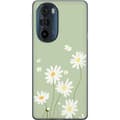 Pikkukuva 1 / 3: Motorola Edge 30 Pro Läpinäkyvä kuori Papukaijanpaparit - kukallinen kuviointi ruotsalaiseen kesätyyliin