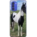 Miniatyrbillede 1 af 3: Motorola Moto G51 5G Gennemsigtig cover Hestemagi - stiliseret hest i en rolig farveskala