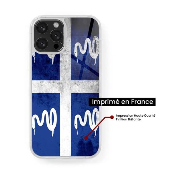 Siliconeförstärkt tryckt skyddsfodral kompatibelt med Samsung Galaxy S23 FE Martinique Flagga