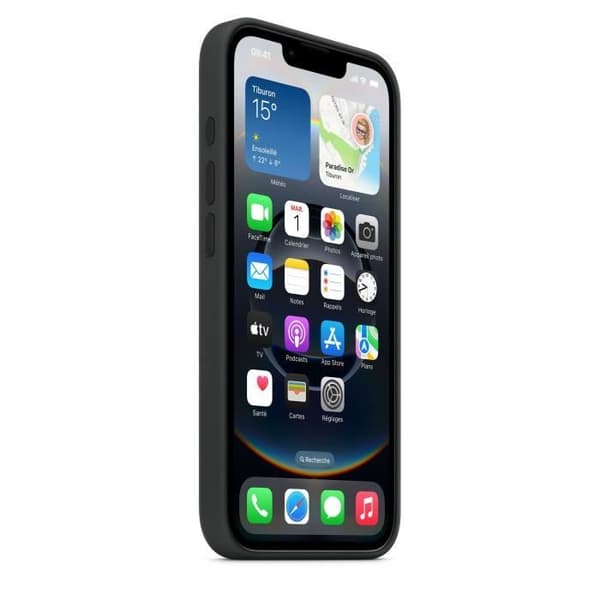 APPLE iPhone 16 E - Silikonskal - Svart