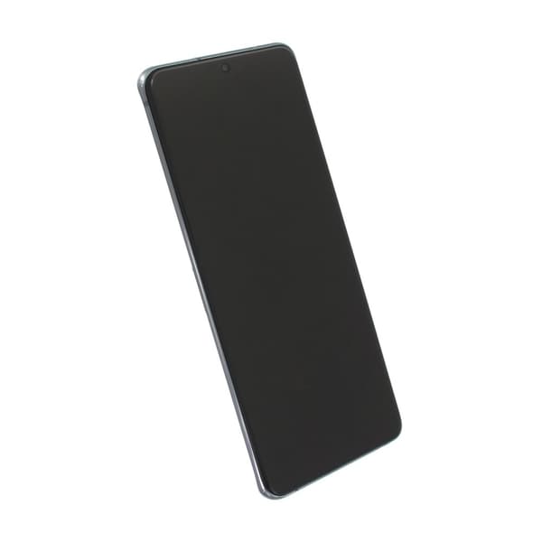 Samsung Galaxy S20 Ultra Skärm Display Original - Grå