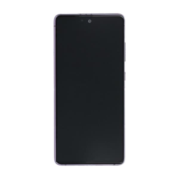 Samsung Galaxy S20 FE Skärm med LCD Display Original - Orange