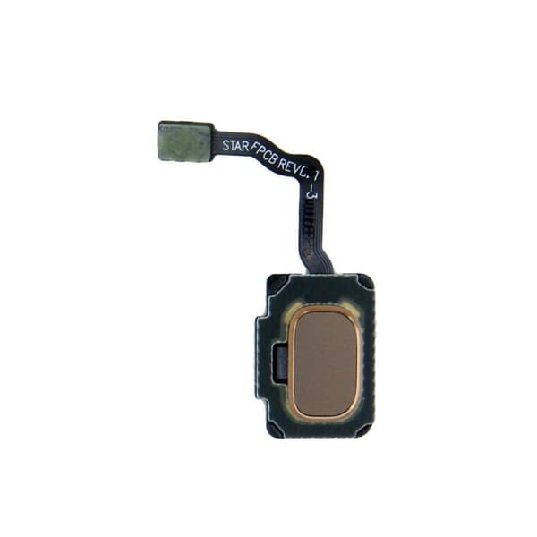 Samsung Galaxy S9/S9 Plus Hemknapp - Guld