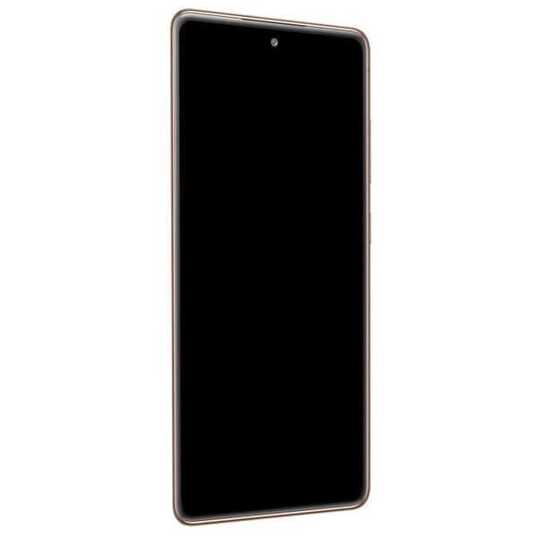 Samsung Galaxy S20 FE 5G Komplett Block LCD-pekskärm Original Orange