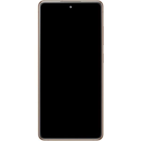 Samsung Galaxy S20 FE 5G Komplett Block LCD-pekskärm Original Orange