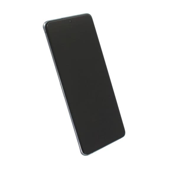 Samsung Galaxy S20 Ultra Skärm med Display Glas Original – Grå