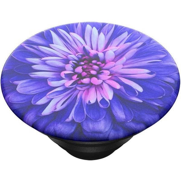 PopTop Be A Dahlia