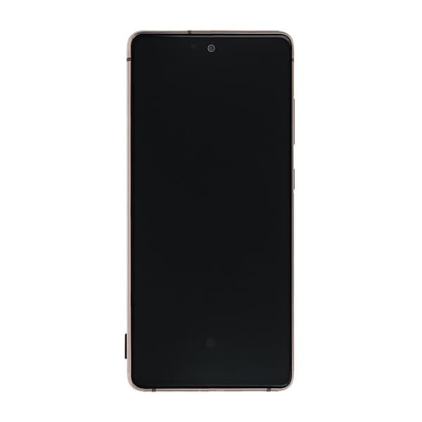 Samsung Galaxy S20 FE 5G Skärm med LCD Display - Orange
