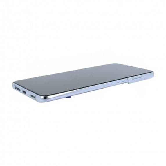 Samsung Galaxy S21 Plus 5G Skärm med LCD Display och Batteri - Silver
