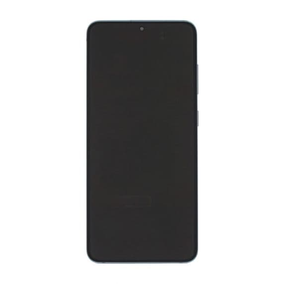 Samsung Galaxy S20 5G Skärm med Display Glas Original – Grå