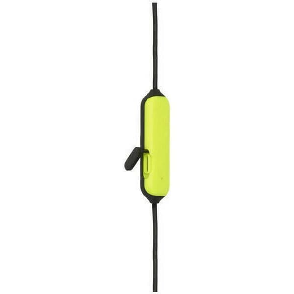 HARMAN EndurancerunBT