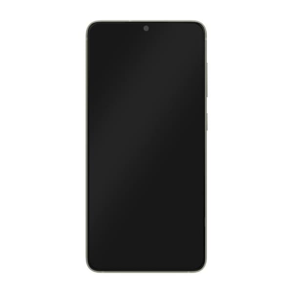 Komplett block Samsung Galaxy S21 FE LCD-skärm Touchglas Original Samsung grön