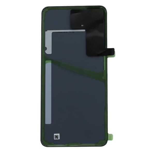 Original Samsung Galaxy S21 FE batteriskal i grafit med lins