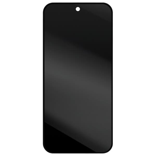 Skärm för Google Pixel 9 Pro XL LCD + Touchglas + Svart Chassi Google