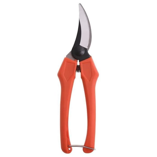 Tijera Vendimiar Curva 1 Mano P20/18 cm.