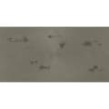 Miniatyrbild 2 av 2: Auhagen 52446 H0, TT Asfaltplats (L x B) 200 mm x 100 mm