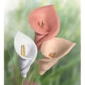 Miniatyrbild 2 av 3: Modelleringslera - FIMO - luft BASIC - Lufttorkande - 97% naturliga material - 500g